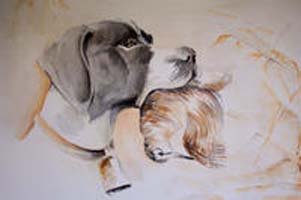 portrait chien de chasse aquarelle