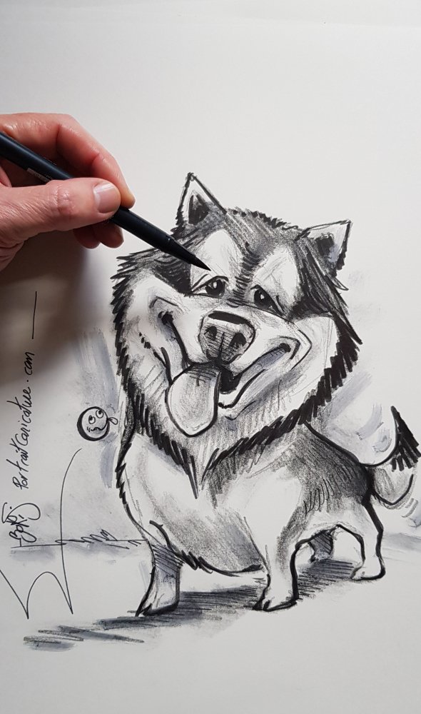 caricature_dessin de chien rigolo_amusant_caricaturiste_magicien_portraitiste_silhouettiste_toulouse_bordeaux_albi_auch_gers