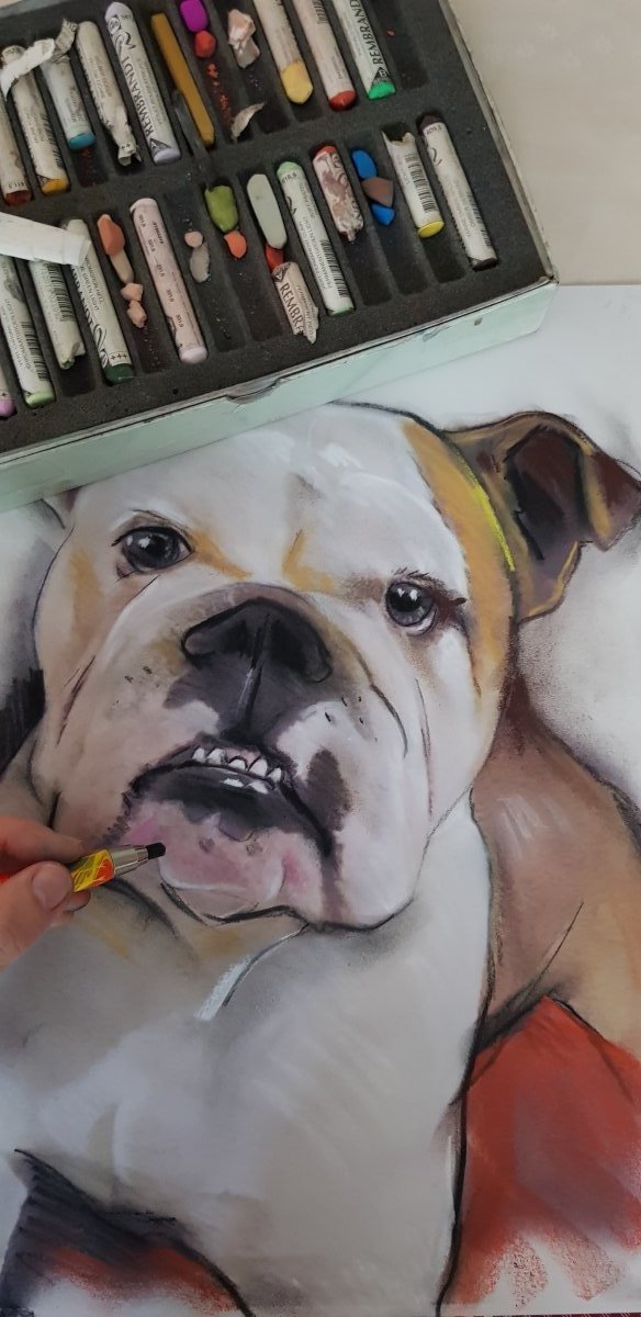 portrait dessin tres réaliste en couleur boule dogue 