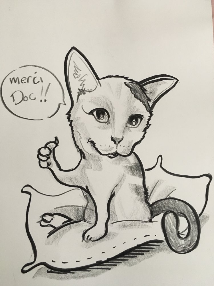 dessinateur caricature en ligne avec une photo portrait humoristique deforme chat caricaturiste magicien portraitiste