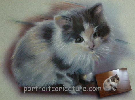 portrait chatton au pastel sur photo