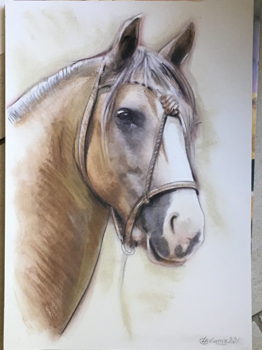 portrait pastel et fusain d'un cheval pour une commande en live sur le site portraitcaricature