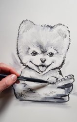caricature_bebe_chien_chot_dessin_humoristique_caricaturiste_toulouse_bordeaux_m