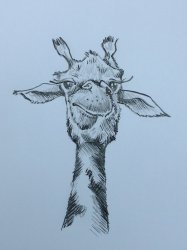 Illustration logo