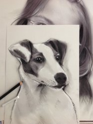 portrait crayon en lige