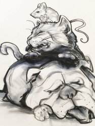 caricature_animaux_dessin_humoristique