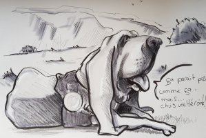 caricature de chien rigolo illustration animaliere caricature portraitiste (...)