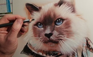 acheter un portrait animalier dessin au pastel et fusain d'apres photo (...)