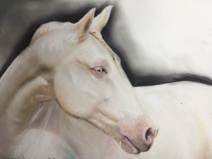 portrait dessin animalier cheval fusain et pastel 