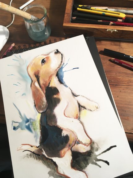 portrait pastel et encre portrait animalier de chien réalisé pour une idée cadeau de noel par un portraitiste professionnel
