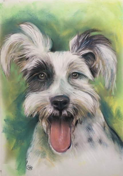 commander un portrait de chien tableau au pastel d'après photo en couleur ou noir et blanc par boris portraitiste caricaturiste sur toulouse auch