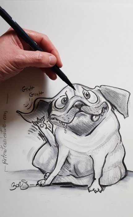 caricature dessin de chien qui louche caricaturiste silhouettiste magicien portraitiste toulouse bordeaux auch agen pau tarbes