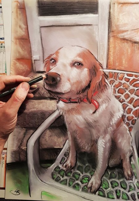 commander un portrait animalier chien epagnol breton par un portraitiste magicien caricature professionnel toulouse bordeaux auch