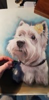 commander un portrait animalier au pastel chien par un dessinateur (...)